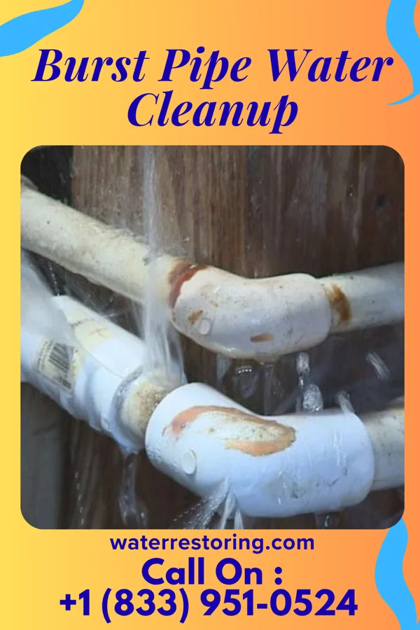 Burst Pipe Water Cleanup in Waterloo, NE
