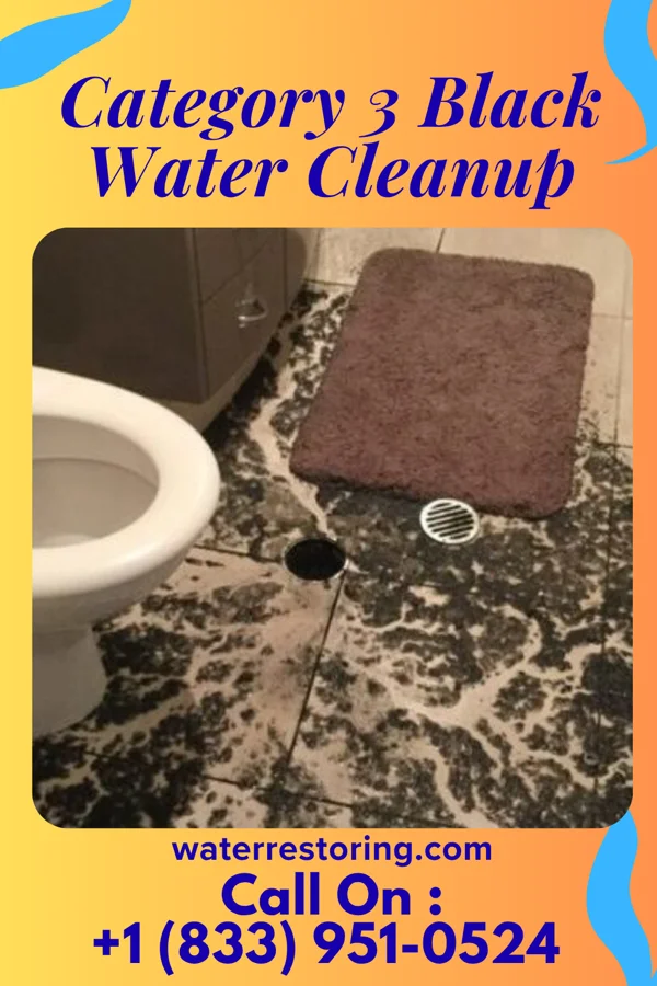 Category 3 Black Water Cleanup in Waterloo, NE