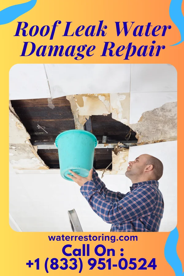 Roof Leak Water Damage Repair in Waterloo, NE
